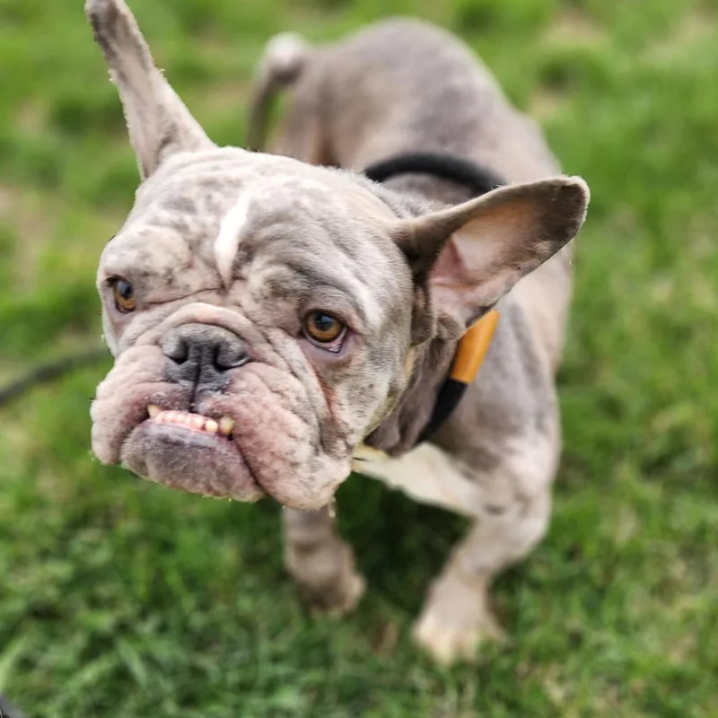 Sprinkles thumbnail 4