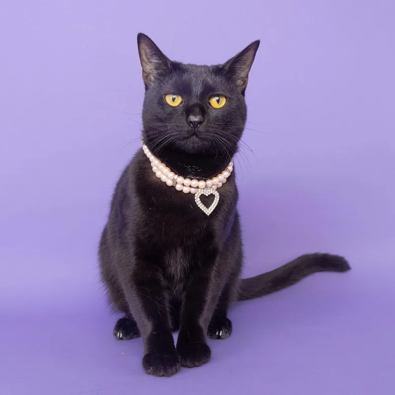Coco Chanel