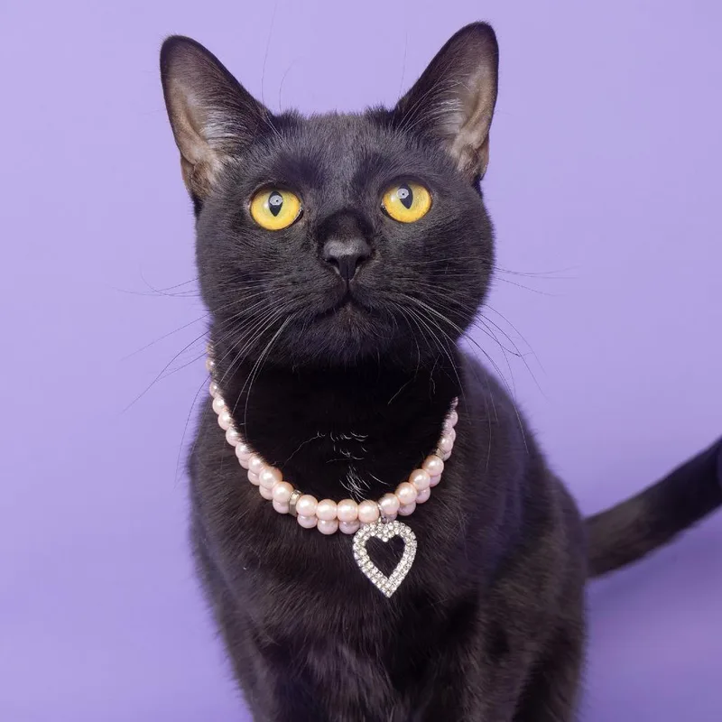 Coco Chanel thumbnail 2