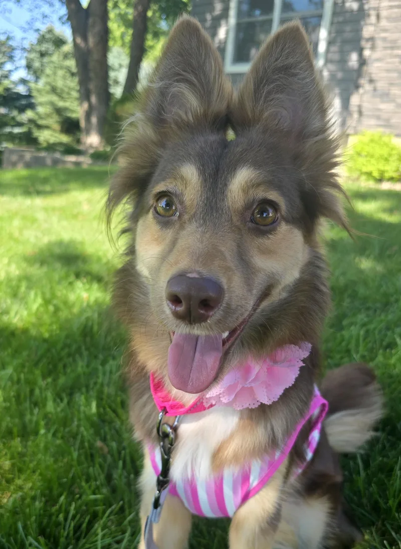 Bindi thumbnail 4