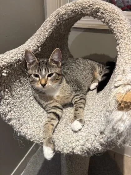 Norma Jean thumbnail 2