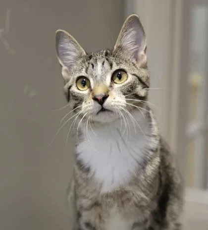 Norma Jean thumbnail 3