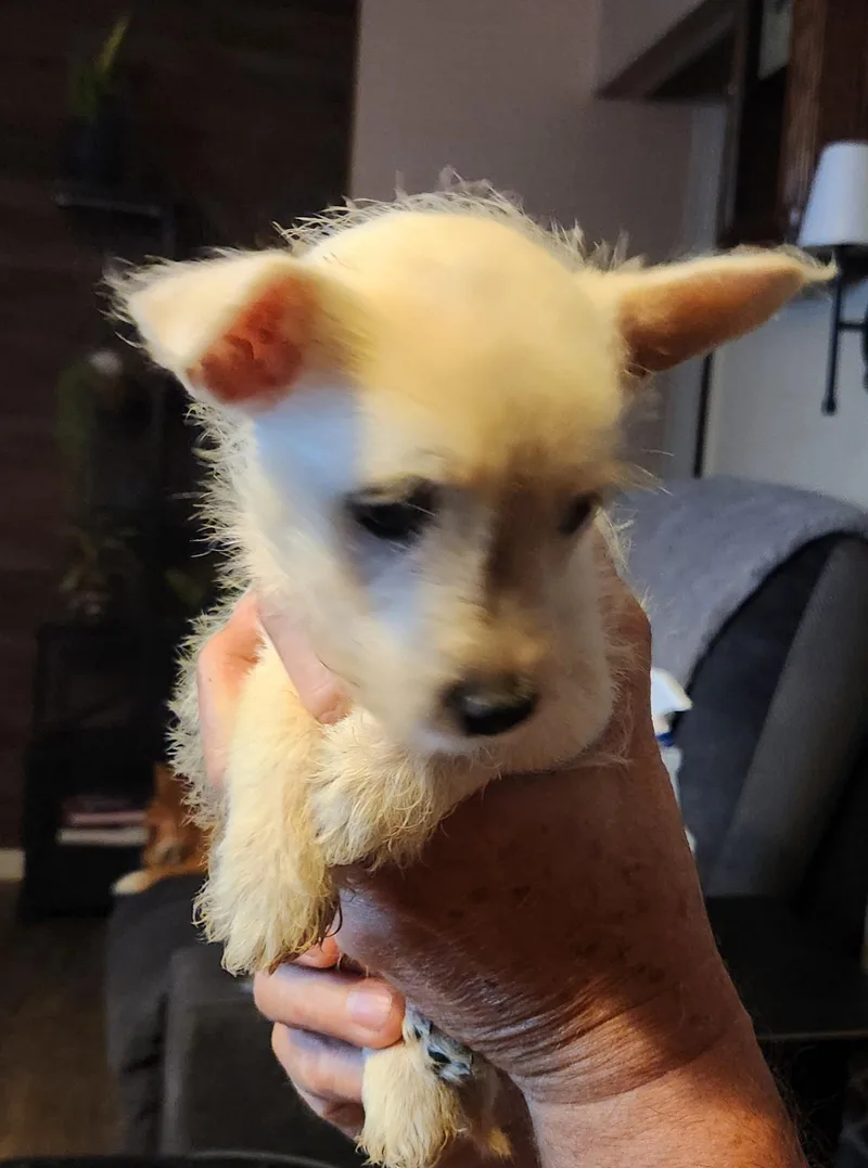 FrillyPenelope