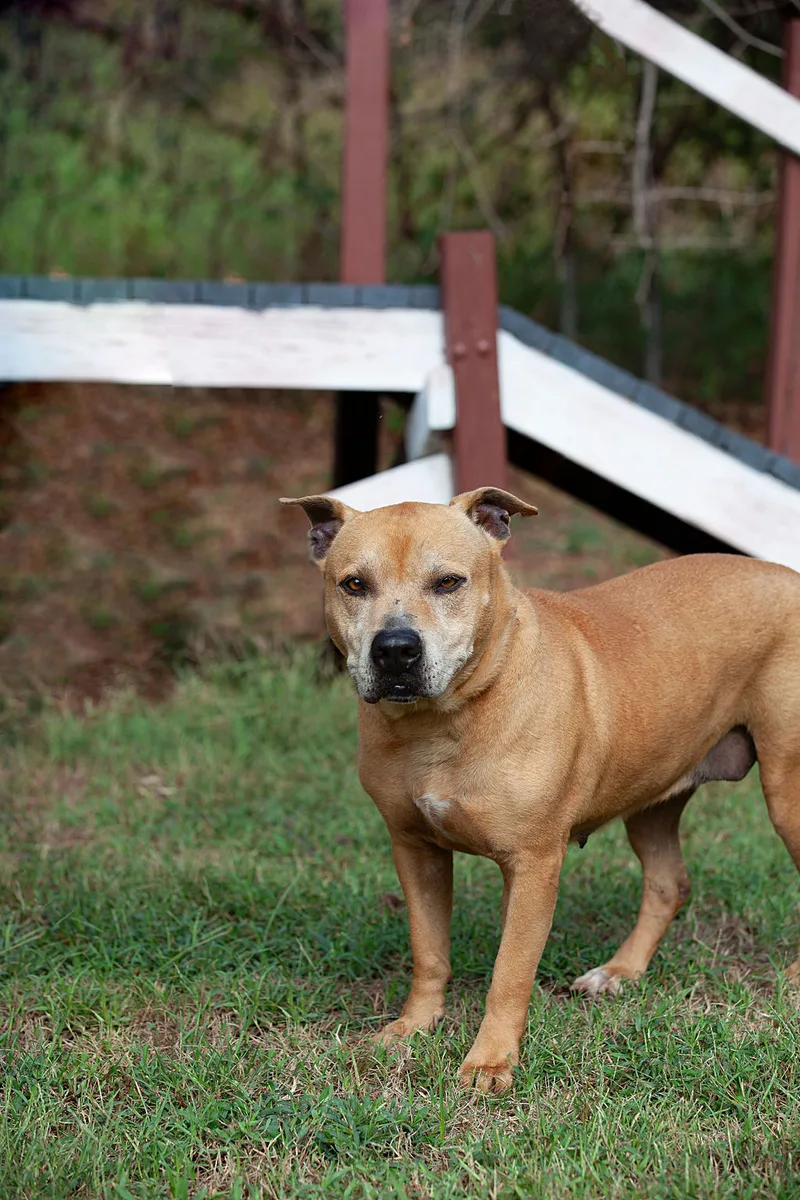 Ava thumbnail 3