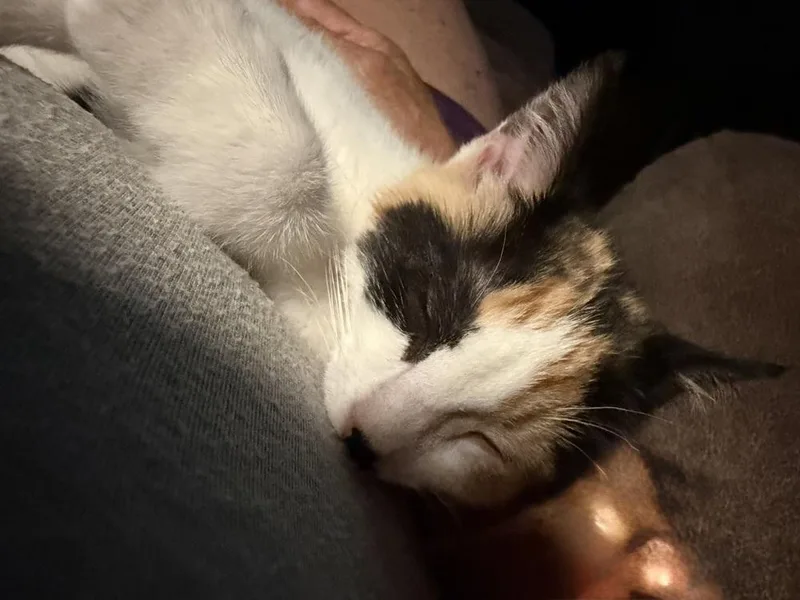 Libby thumbnail 2