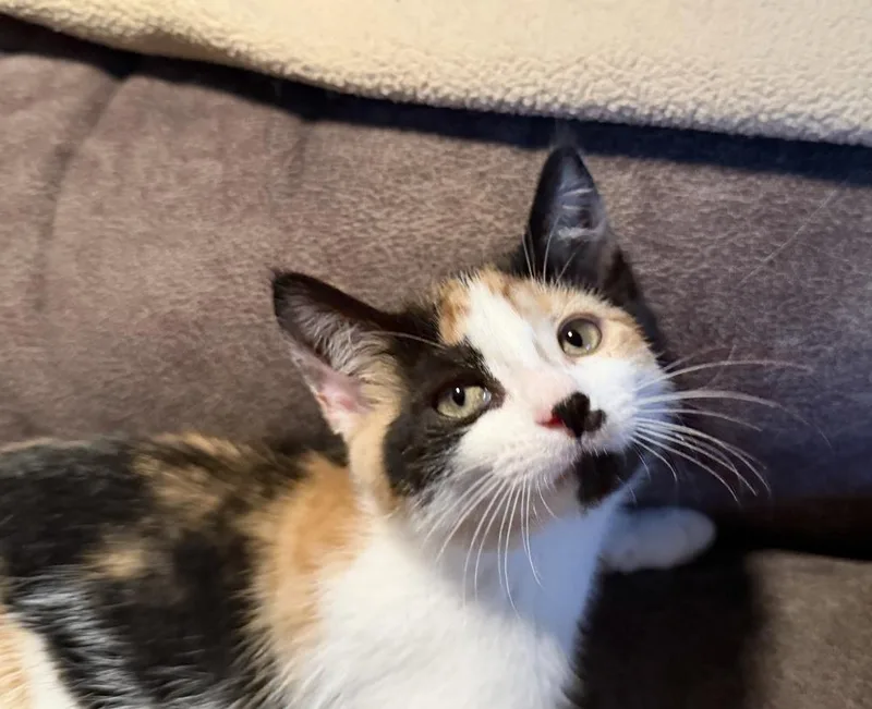 Libby thumbnail 6