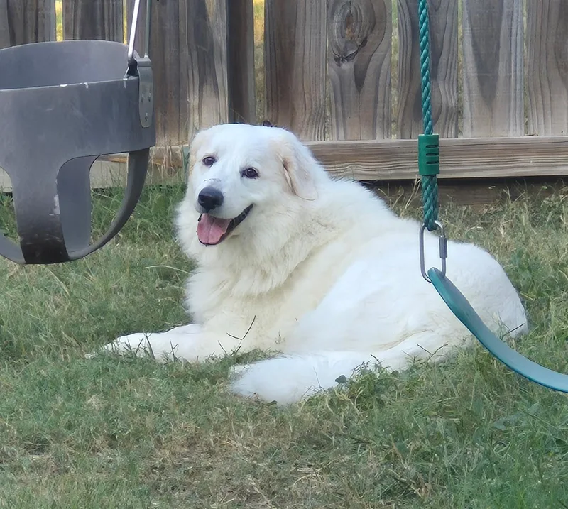 Yaira Htx thumbnail 2