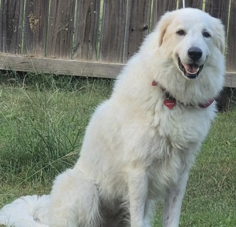 Yaira Htx thumbnail 4