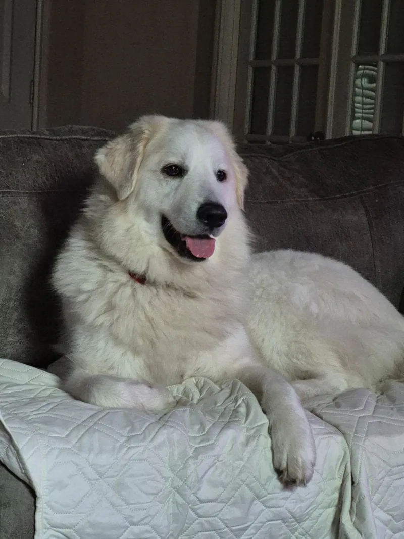 Yaira Htx thumbnail 6