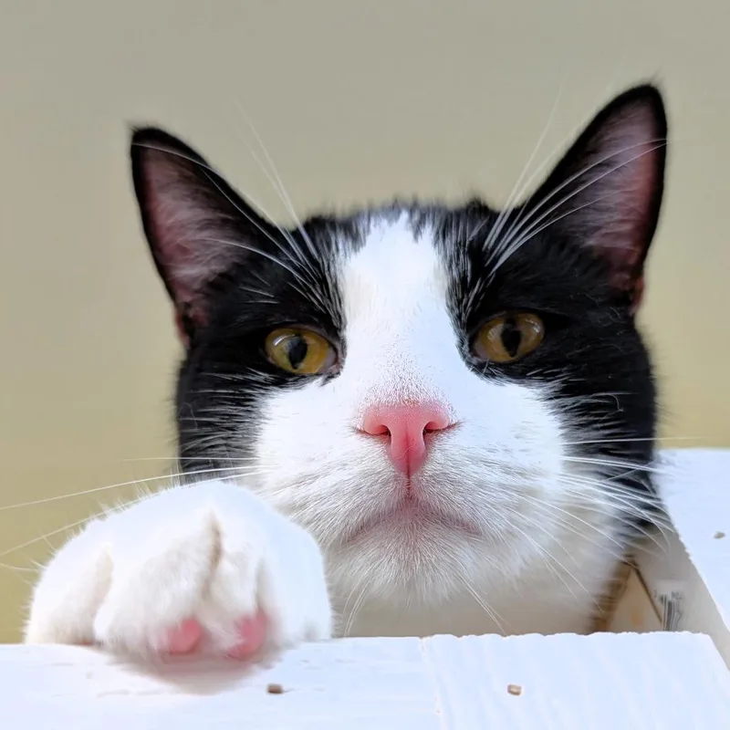 Midnight thumbnail 5