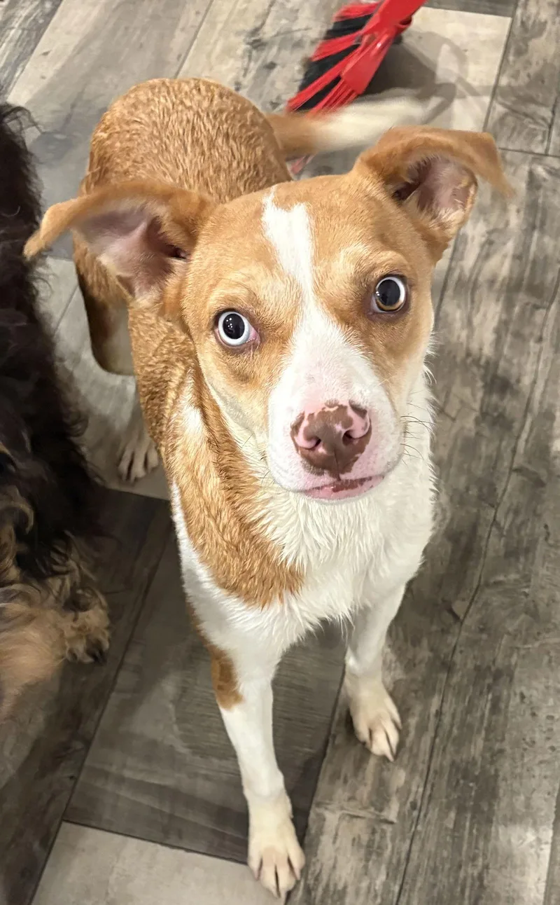 Charlotte thumbnail 2