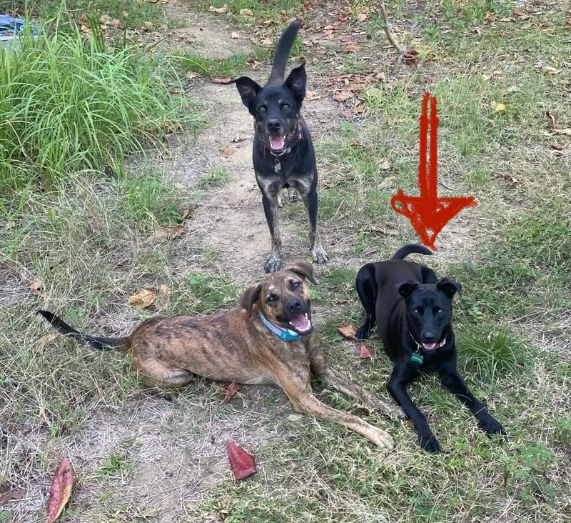 Super Salma! thumbnail 2