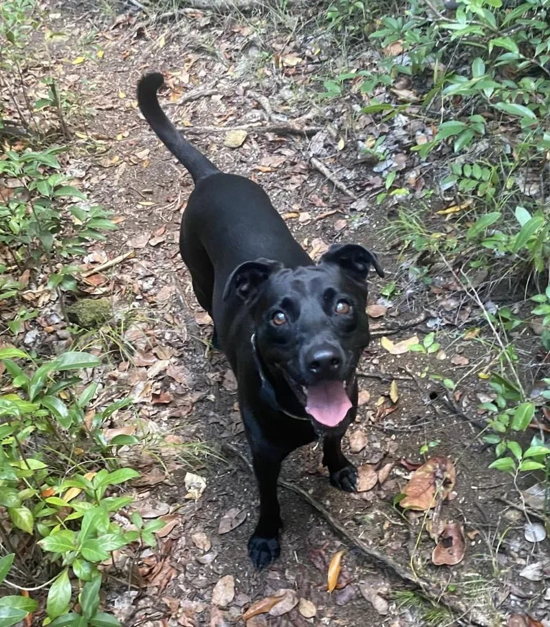 Super Salma! thumbnail 3