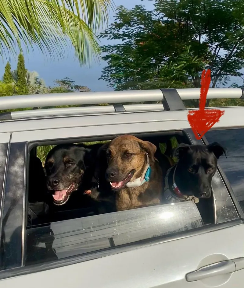 Super Salma! thumbnail 4