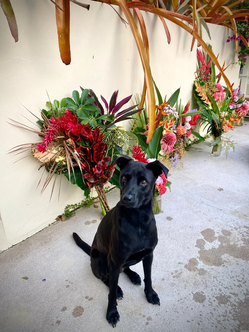 Super Salma! thumbnail 5