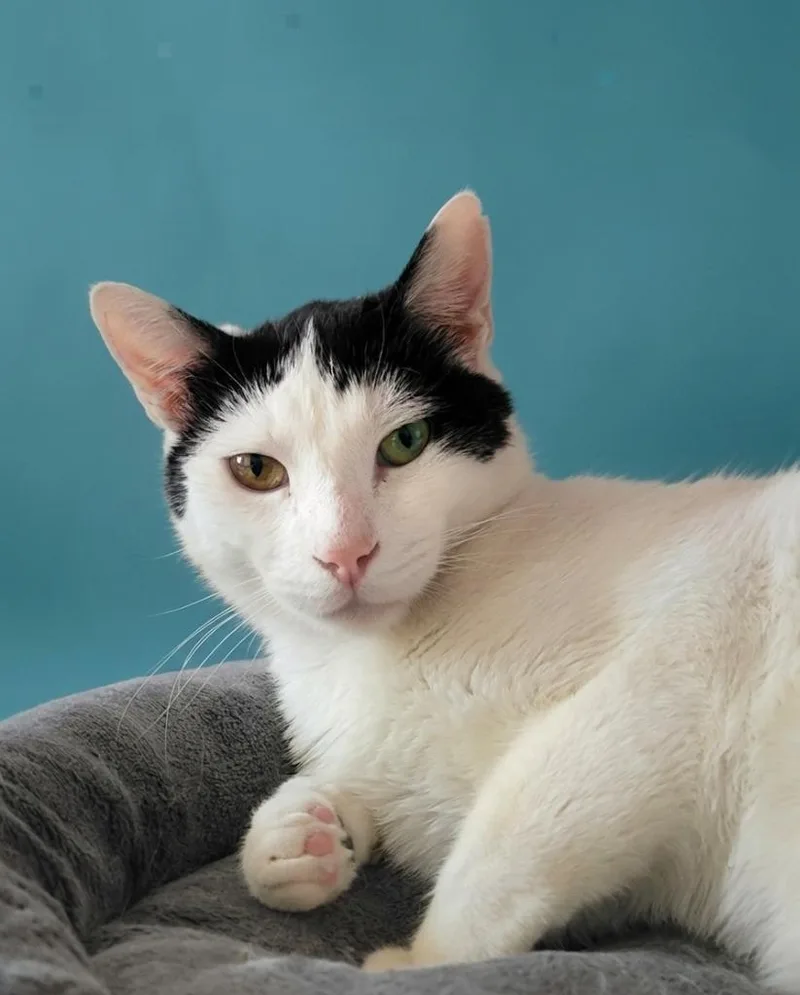 Charlie Bean thumbnail 3