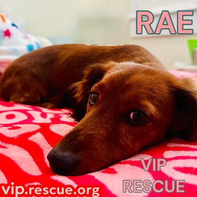 Rae  Indian Rocks thumbnail 3