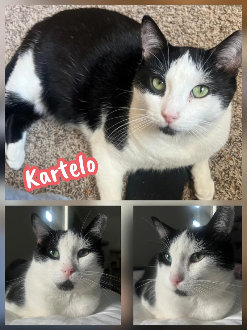 Sweetheart & Kartelo thumbnail 2