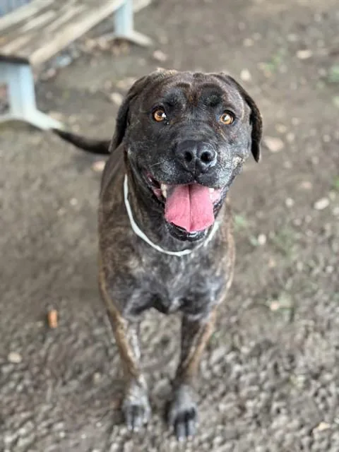 Big Bertha thumbnail 2