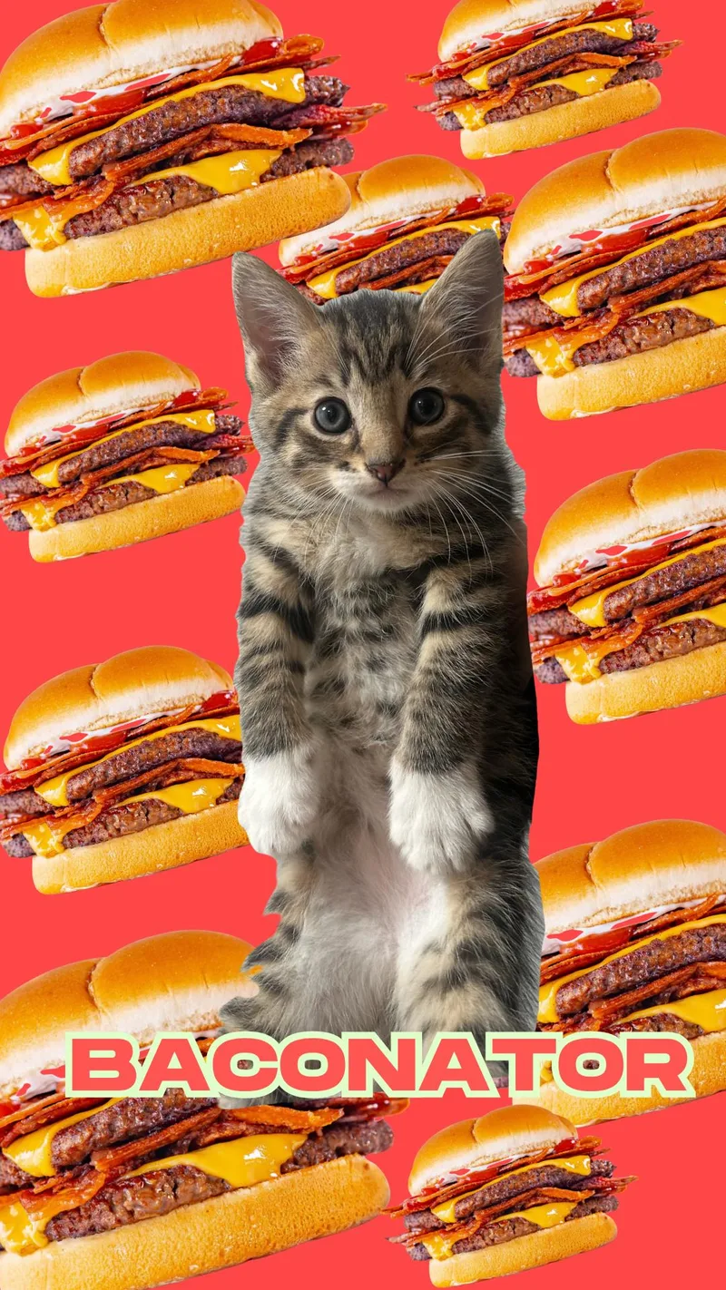 Baconator thumbnail 3