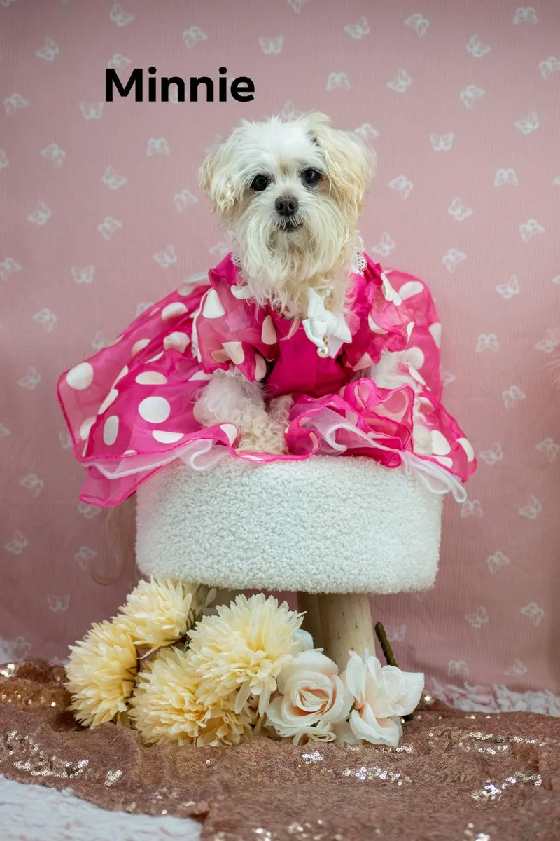 Minnie And Pearl thumbnail 2