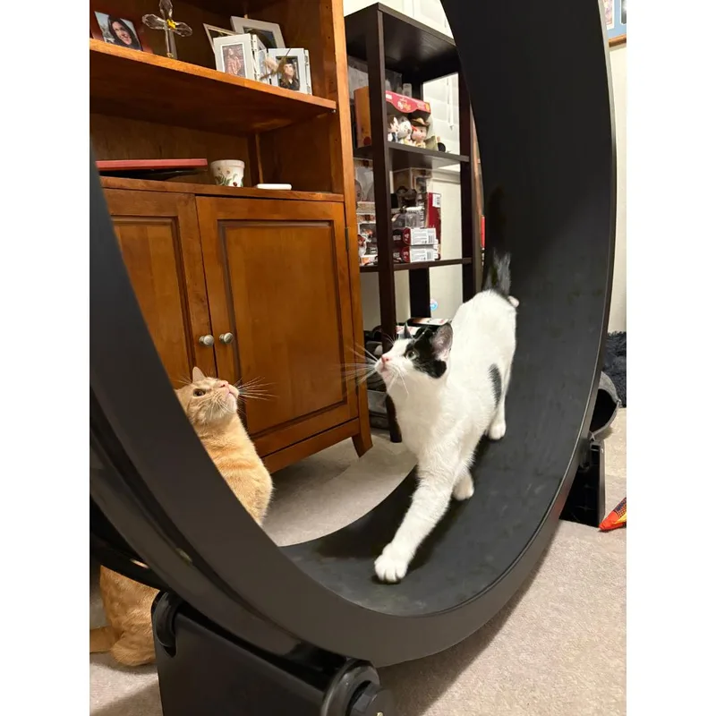 Cassolette thumbnail 2