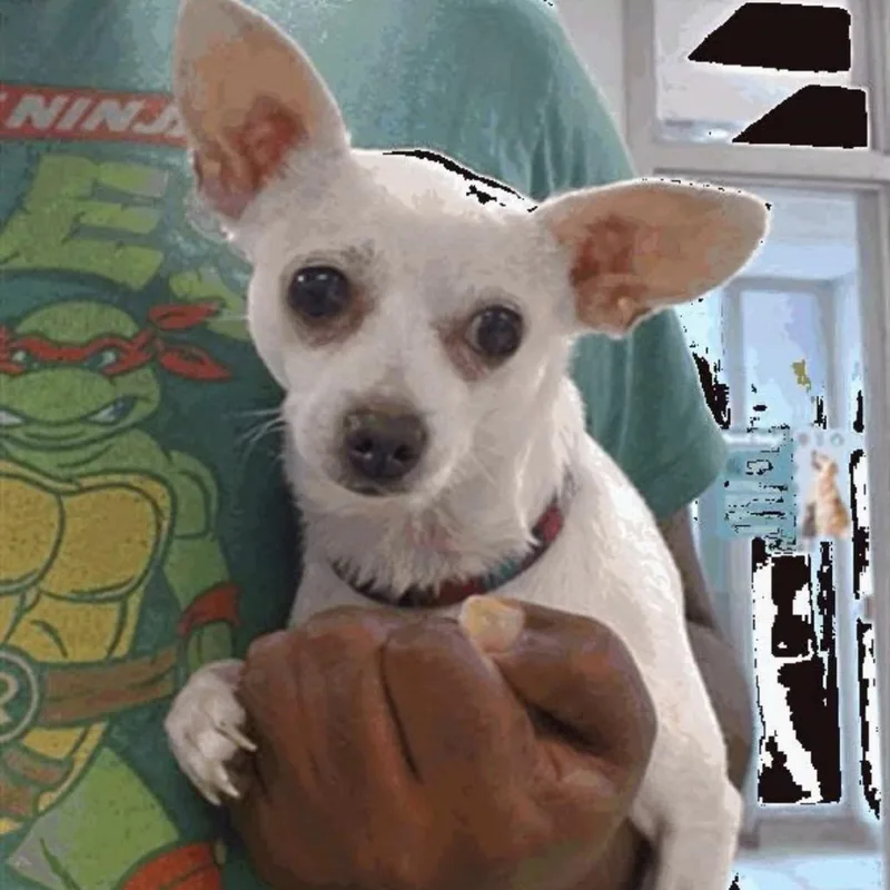 Lewis C thumbnail 2