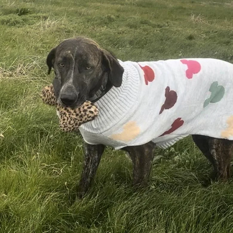 Bessie S thumbnail 6