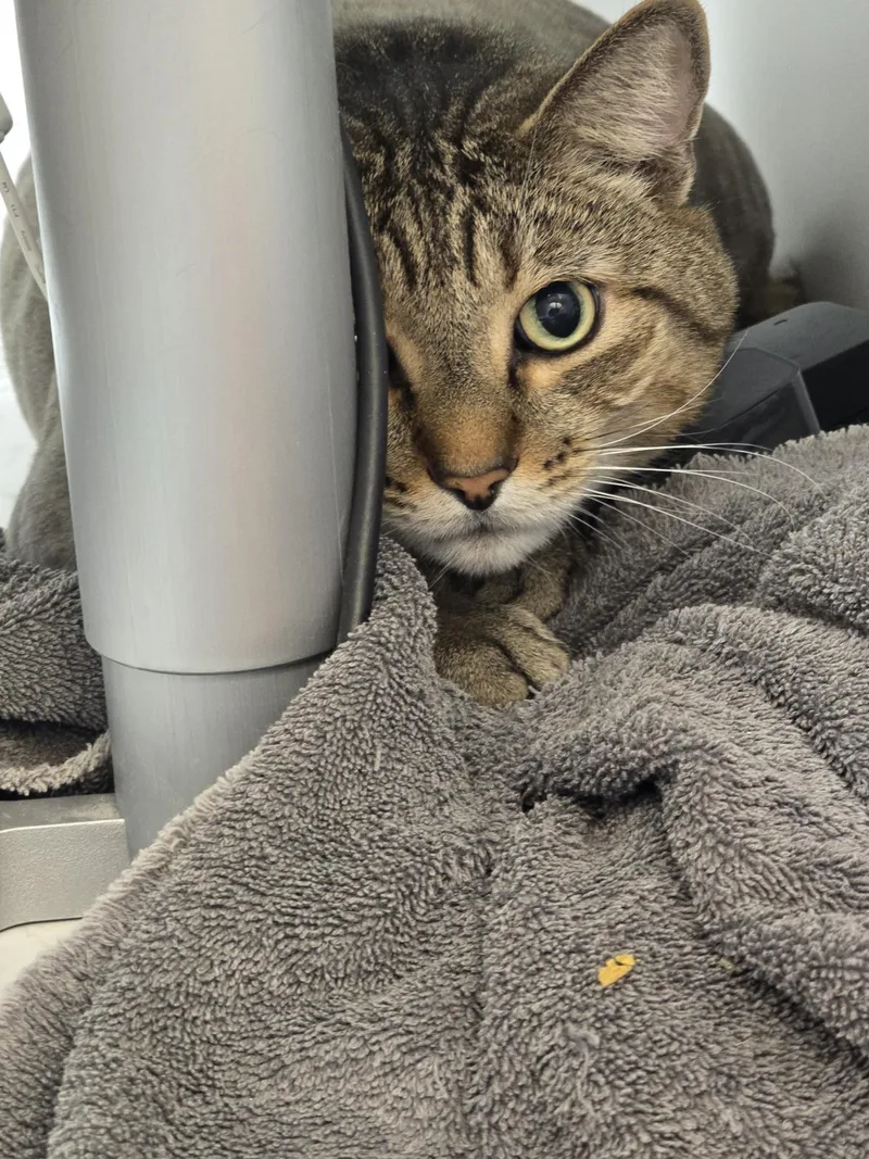 Grady Peters thumbnail 2