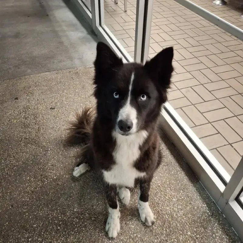 Callie Nyx thumbnail 3