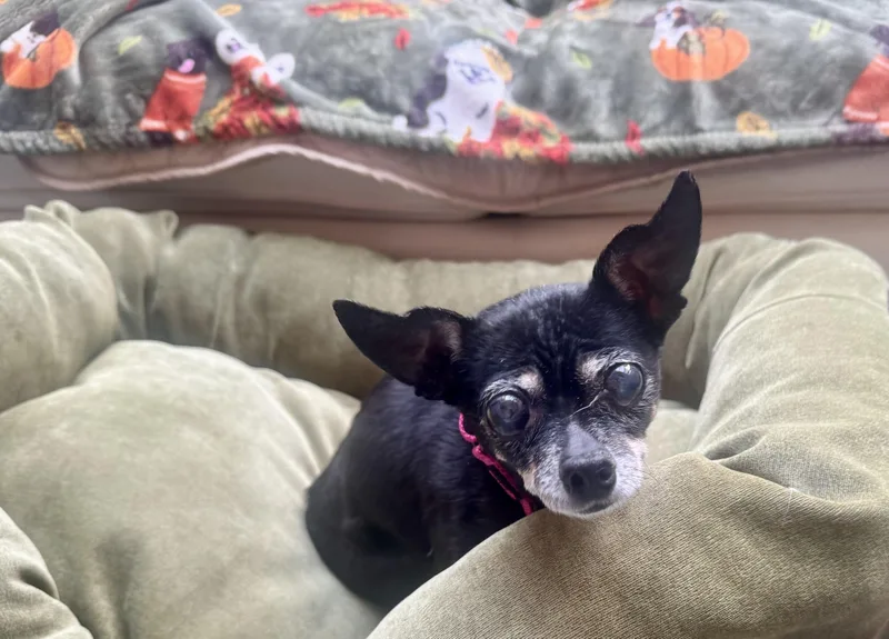 Estrella Homeless at thumbnail 2