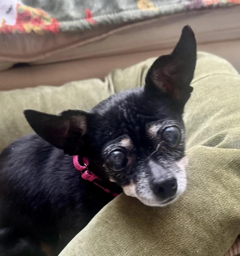 Estrella Homeless at thumbnail 3
