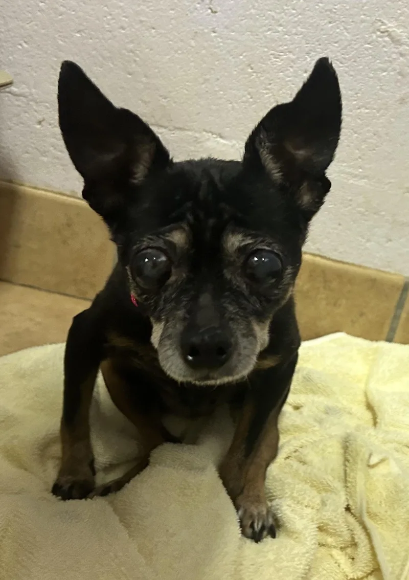 Estrella Homeless at thumbnail 4