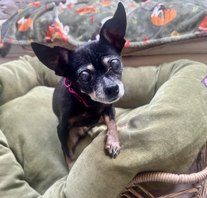 Estrella Homeless at thumbnail 5
