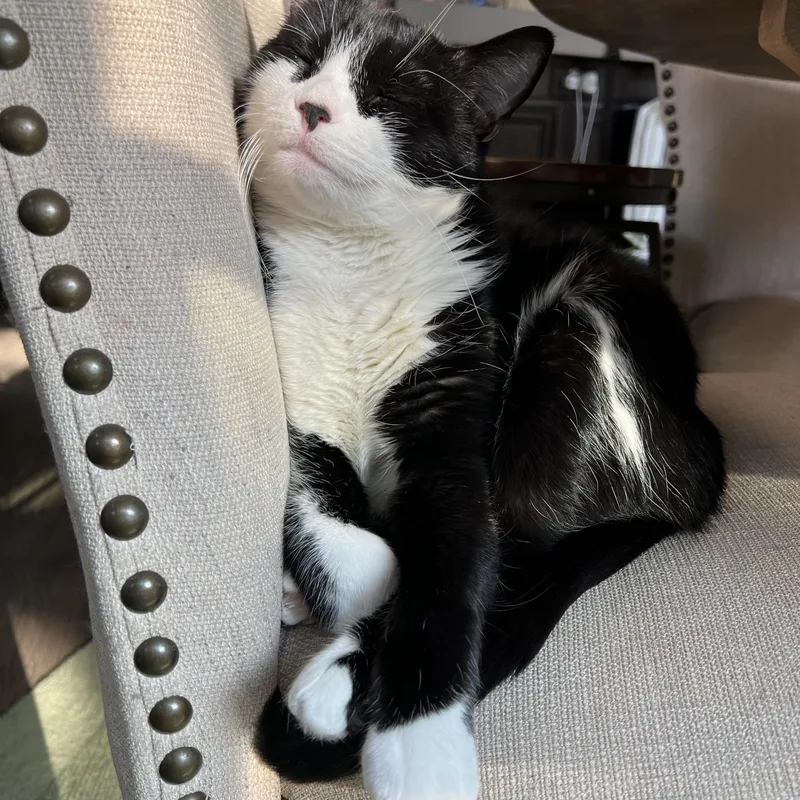 Shenal & Max thumbnail 4