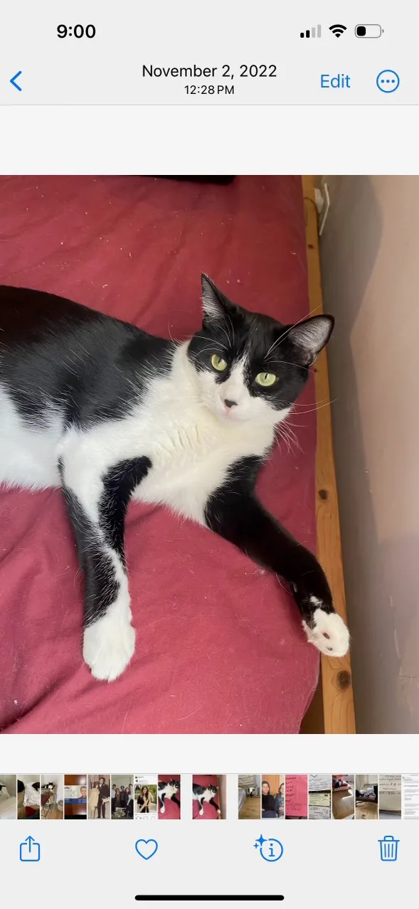 Shenal & Max thumbnail 5