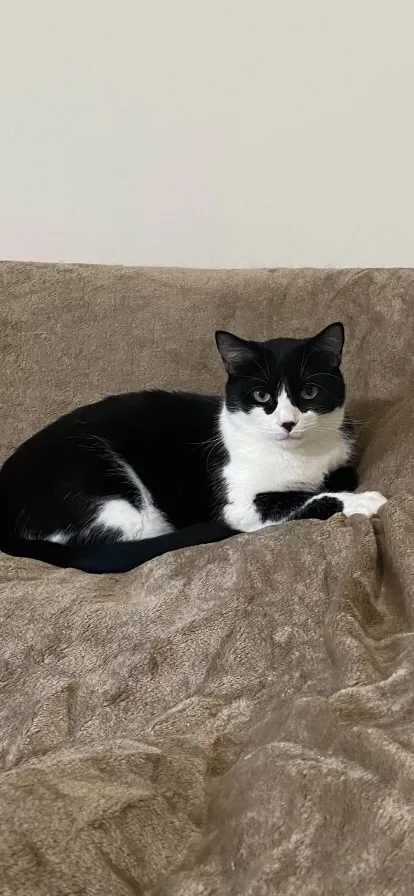 Shenal & Max thumbnail 6