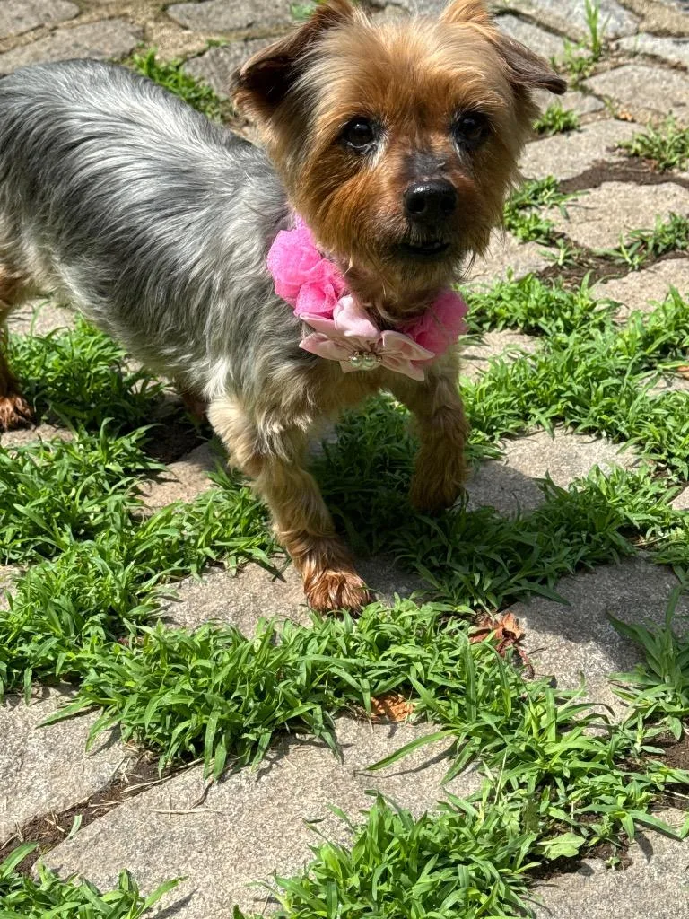 Mimi