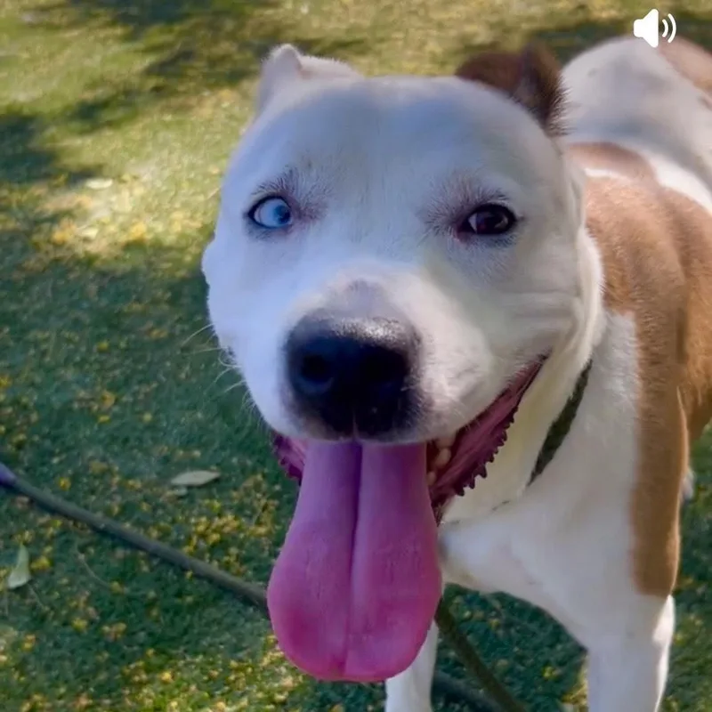 Lunasweet  Happy Girl thumbnail 5