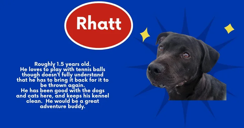 Rhatt thumbnail 2
