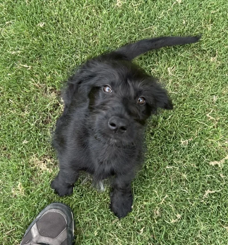 Matilda