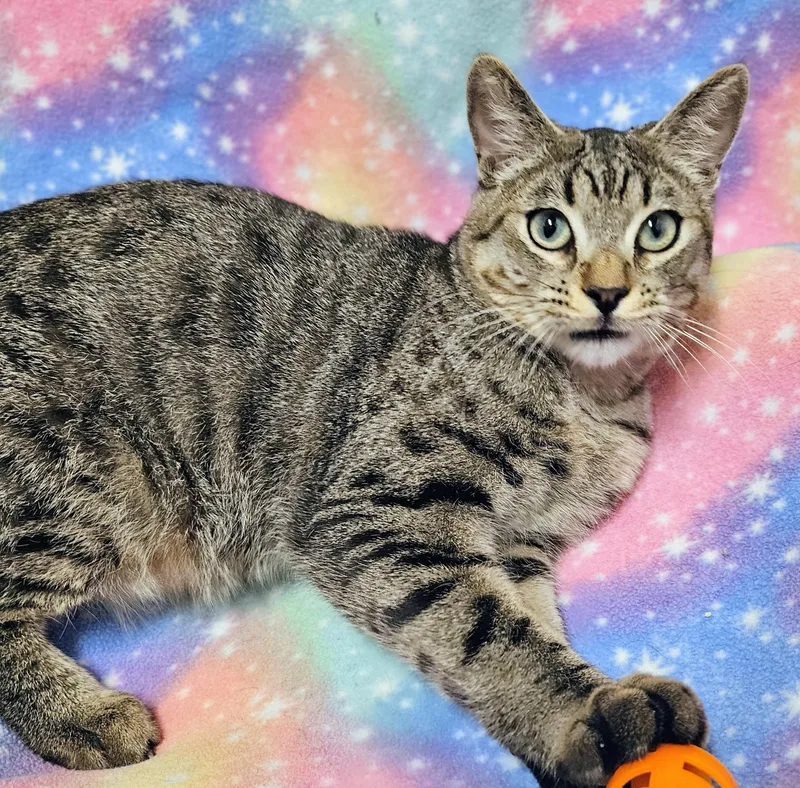 Oscar  Rancho Cucamonga thumbnail 2