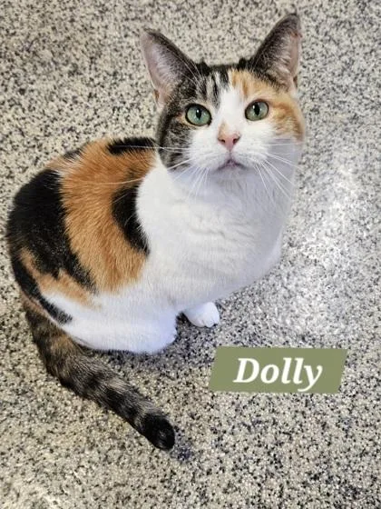 Dolly
