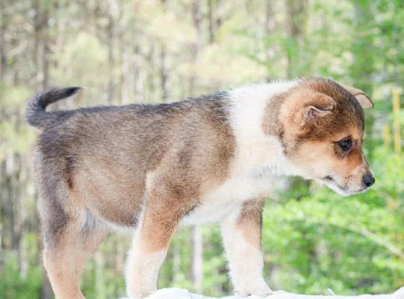 Dr. Mckay thumbnail 2