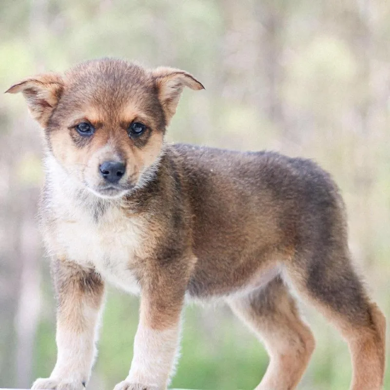 Dr. Mckay thumbnail 3