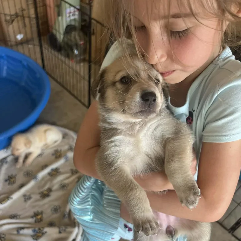 Aphrodite Gs thumbnail 2