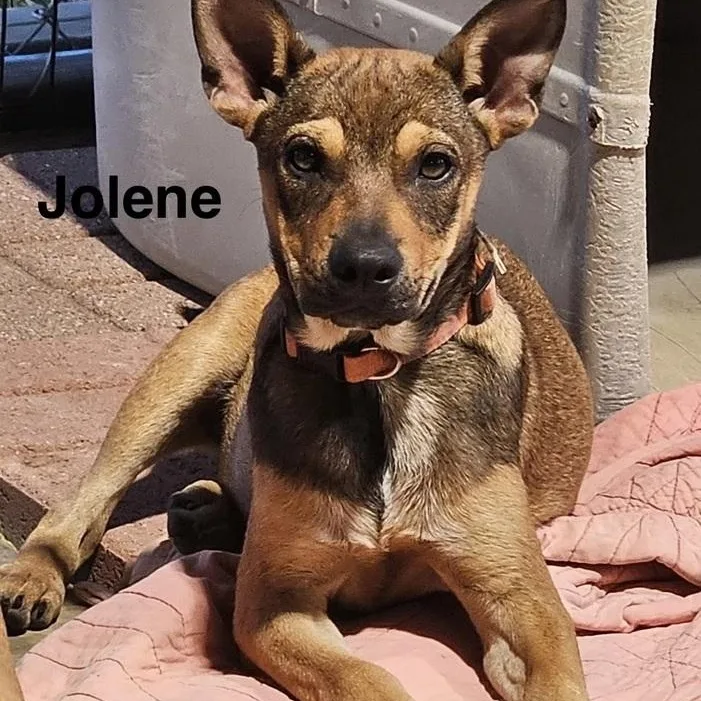 Jolene thumbnail 2