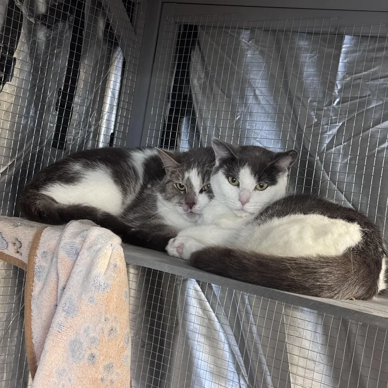 Carl & Wendy Lou