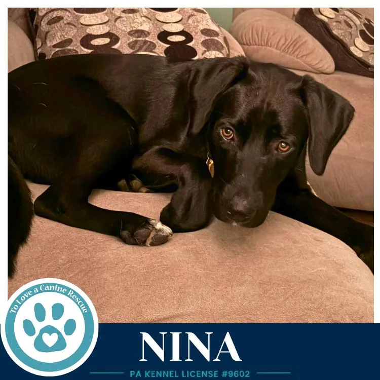 Nina thumbnail 2