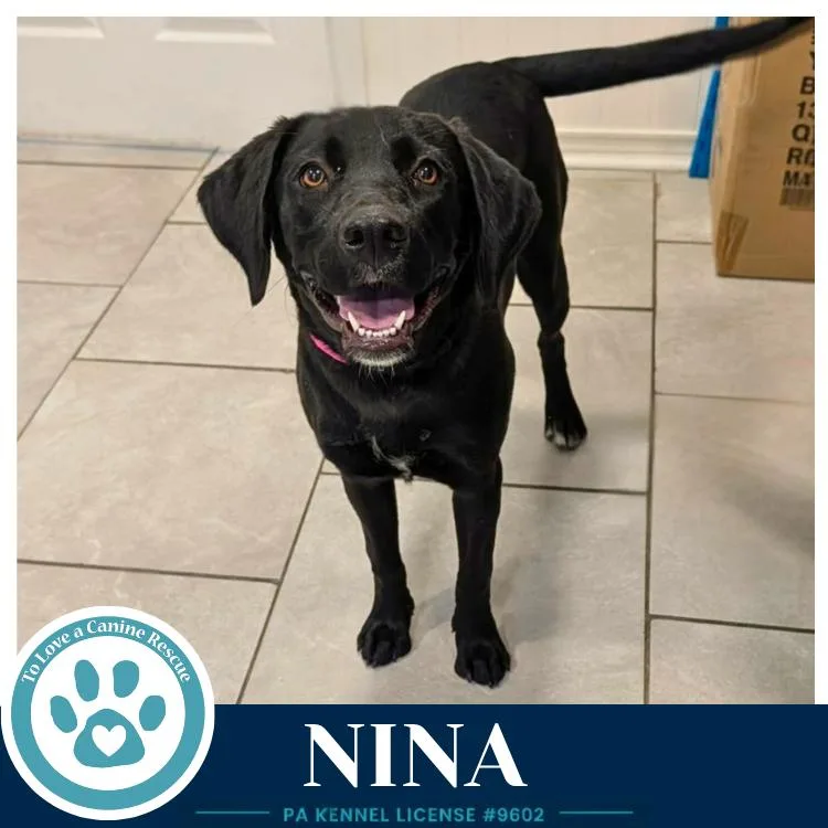 Nina thumbnail 3